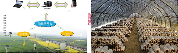 工業網關|農業物聯網|菌菇廠棚種